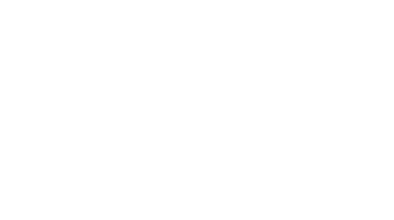 Zenmind Analytics Academy